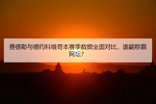 费德勒与德约科维奇本赛季数据全面对比，谁能称霸网坛？