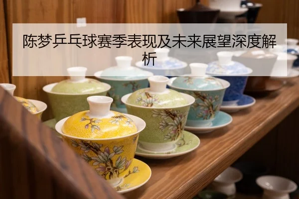 陈梦乒乓球赛季表现及未来展望深度解析